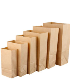 Paper Prescription Bags
