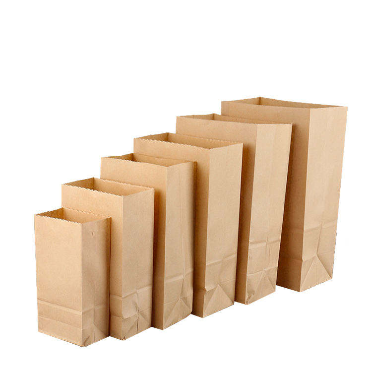 Paper Prescription Bags